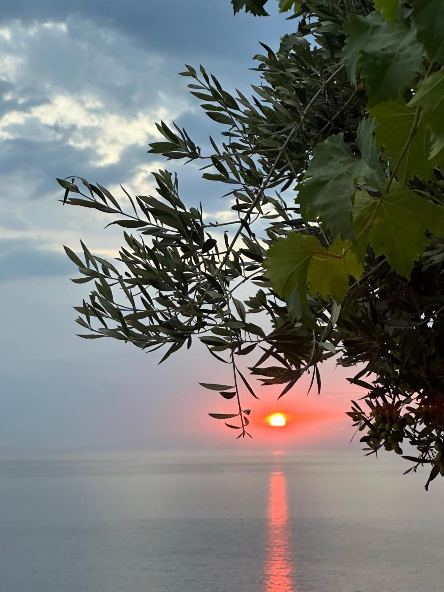 Elea Guesthouse Himare Exterior foto