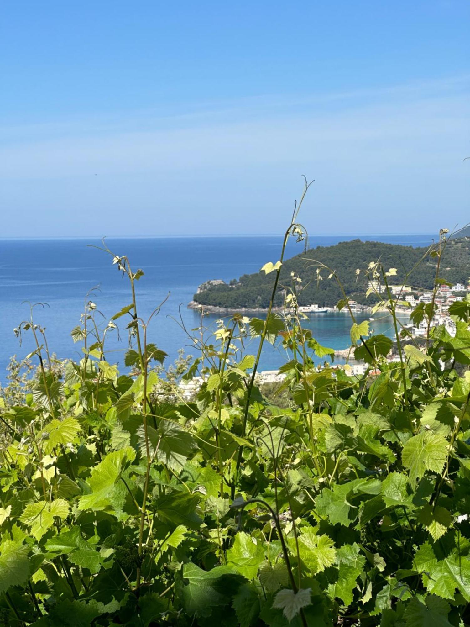 Elea Guesthouse Himare Exterior foto